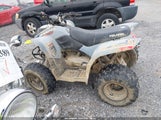 Polaris Phoenix 200 RF3YPA201ST021666 снимка