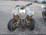 Polaris Phoenix 200 RF3YPA201ST021666 снимка