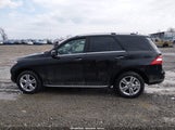 Mercedes-Benz Ml 350 4Matic 4JGDA5HB6FA582136 снимка