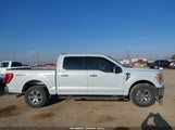 Ford F-150 Xlt 1FTEW1EB5MKD58595 снимка