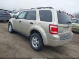 Ford Escape Xlt 1FMCU0D79BKB22674 fotografie