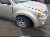 Ford Escape Xlt 1FMCU0D79BKB22674 fotografie