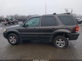 Ford Escape Xlt/Xlt Sport 1FMYU03186KD50108 снимка
