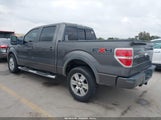 Ford F-150 Fx4/King Ranch/Lariat/Platinum/Xl/Xlt 1FTPW14V49KC75624 photo