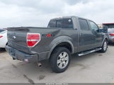 Ford F-150 Fx4/King Ranch/Lariat/Platinum/Xl/Xlt 1FTPW14V49KC75624 photo