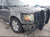 Ford F-150 Fx4/King Ranch/Lariat/Platinum/Xl/Xlt 1FTPW14V49KC75624 fotografie