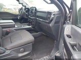 Ford F-150 Xl 1FTEW1C82MKD55015 photo