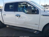 Ford F-150 King Ranch/Lariat/Limited/Platinum/Xl/Xlt 1FTEW1EG6GKE75389 photo