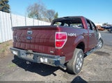 Ford F-150 Fx4/Harley-Davidson/King Ranch/Lariat/Platinum/Xl/Xlt 1FTFW1EV9AFB15942 снимка