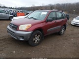 Toyota Rav4 JTEGD20V250069091 снимка