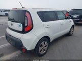 Miniaturka zdjęcia 4
