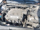 Honda Accord Crosstour Ex-L 5J6TF2H50AL003918 fotografie