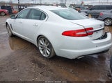 Jaguar Xf Luxury/Sport SAJXJ0FF9F8U55206 снимка