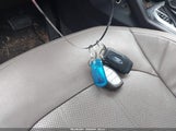 Miniaturka zdjęcia 11