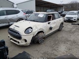 Miniaturka zdjęcia 2