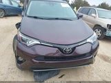 Toyota Rav4 Xle 2T3WFREVXHW347800 снимка