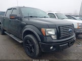 Ford F-150 Fx4 1FTFW1EF7BFC34034 снимка