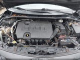 Toyota Corolla S 2T1BU4EE9CC793334 снимка