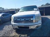 Ford F-150 Fx4/Harley-Davidson/King Ranch/Lariat/Platinum/Xl/Xlt 1FTFW1EV7AFD93660 fotografie