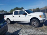 Ford F-150 Fx4/Harley-Davidson/King Ranch/Lariat/Platinum/Xl/Xlt 1FTFW1EV7AFD93660 снимка
