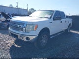 Ford F-150 Fx4/Harley-Davidson/King Ranch/Lariat/Platinum/Xl/Xlt 1FTFW1EV7AFD93660 снимка