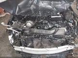 Miniaturka zdjęcia 10