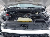 Ford F-150 Xl 1FTFW1E54MKE79522 photo
