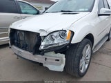Mercedes-Benz Ml 350 4Matic 4JGBB8GB4BA714716 photo