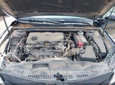 Toyota Camry Le JTNB11HK1J3005642 fotografie