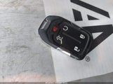 Miniaturka zdjęcia 11