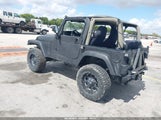 Jeep Wrangler Sahara 1J4FA59SX3P307688 снимка