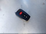 Miniaturka zdjęcia 11