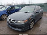 Acura Tsx JH4CL95845C029836 снимка