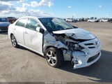 Toyota Corolla Le 2T1BU4EE8BC539919 fotografie