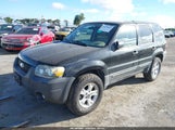 Ford Escape Xlt/Xlt Sport 1FMYU93127KB51058 снимка
