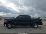 Ford F-150 Fx2 Sport/Xl/Xlt 1FTEW1C83AKC37776 снимка