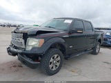 Ford F-150 Fx2 Sport/Xl/Xlt 1FTEW1C83AKC37776 снимка