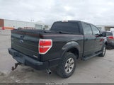 Ford F-150 Fx2 Sport/Xl/Xlt 1FTEW1C83AKC37776 photo