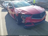 Acura Tlx Tech A-Spec Pkgs 19UUB3F66JA005838 снимка