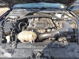 Ford Mustang Ecoboost 1FA6P8TH1K5102313 снимка