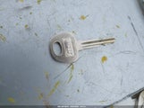 Miniaturka zdjęcia 11