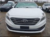Hyundai Sonata Sport 5NPE34AF7GH268466 fotografie
