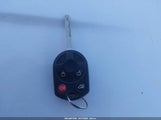 Miniaturka zdjęcia 11