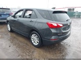 Chevrolet Equinox Fwd Ls 2GNAXHEV6L6169509 fotografie