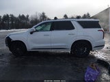 Hyundai Palisade Calligraphy Night Edition KM8R7DGE6RU780731 photo