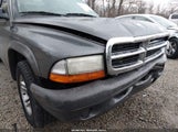 Dodge Dakota 1D7GL12K74S706280 fotografie