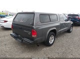Dodge Dakota 1D7GL12K74S706280 fotografie