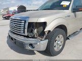 Ford F-150 Fx2 Sport/Xl/Xlt 1FTEW1C82AFC90669 снимка