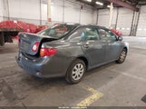 Toyota Corolla Le 1NXBU4EE8AZ254182 снимка