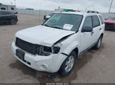 Ford Escape Xlt 1FMCU0DG8CKB06175 fotografie